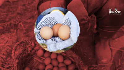 Avian Influenza Staying Ahead of the Curve