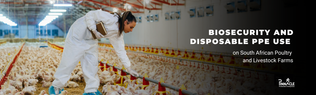 Biosecurity and Disposable PPE Use on South African Poultry and Livestock Farms_ What’s Happening Now