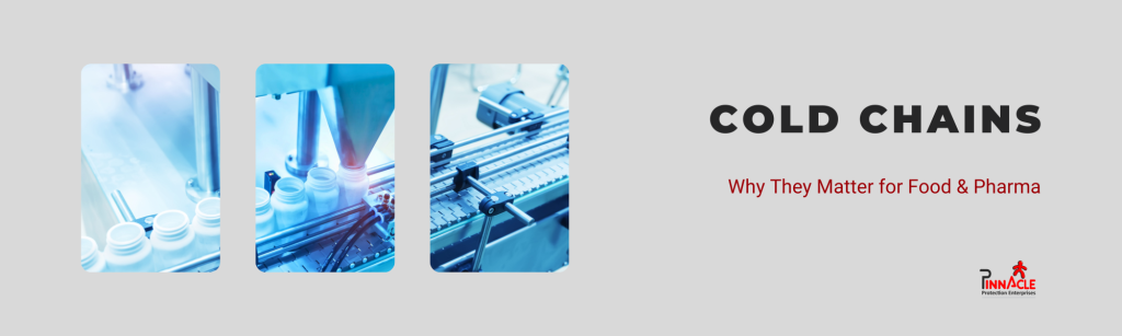 Cold Chains_ Why They Matter for Food & Pharma