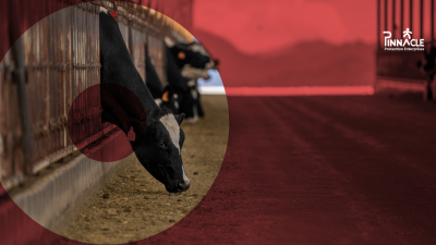 HACCP PPE Guide for the Dairy & Food Manufacturing Industry