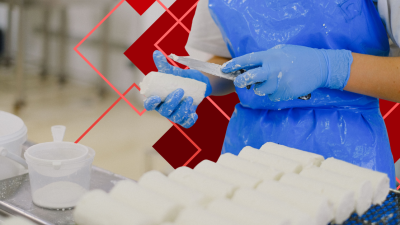 Worker wearing blue nitrile gloves for food processing, slicing fresh cheese logs at a dairy production table