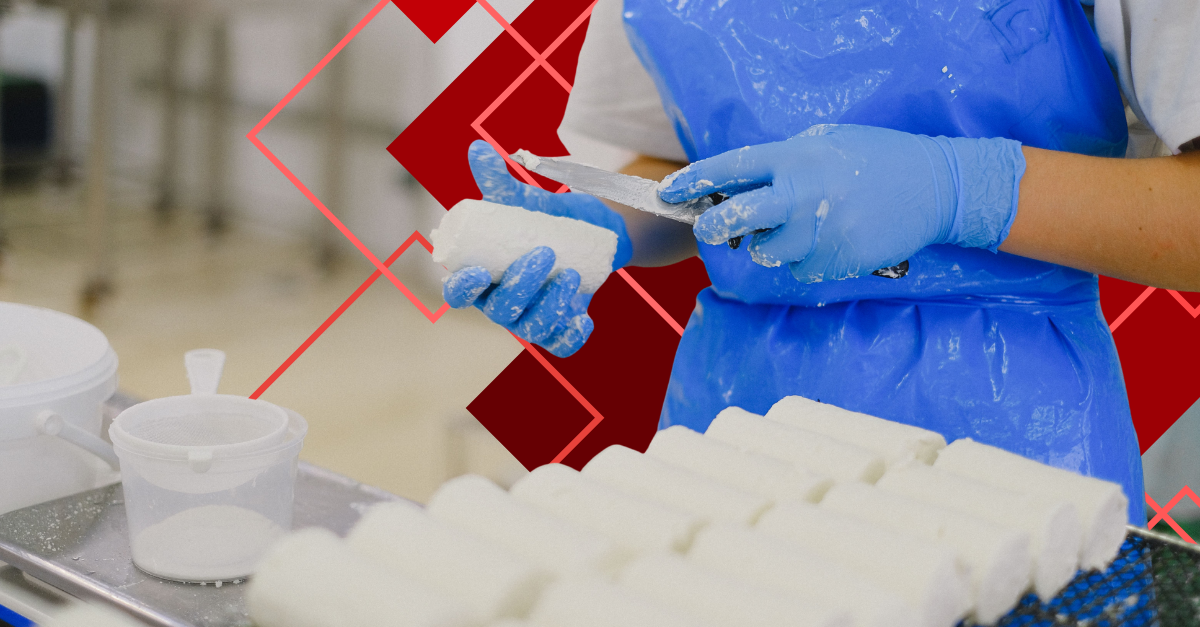 Worker wearing blue nitrile gloves for food processing, slicing fresh cheese logs at a dairy production table